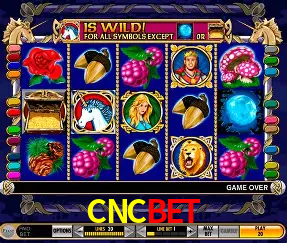 Descubra o Mundo do Cassino Online com CNCBET