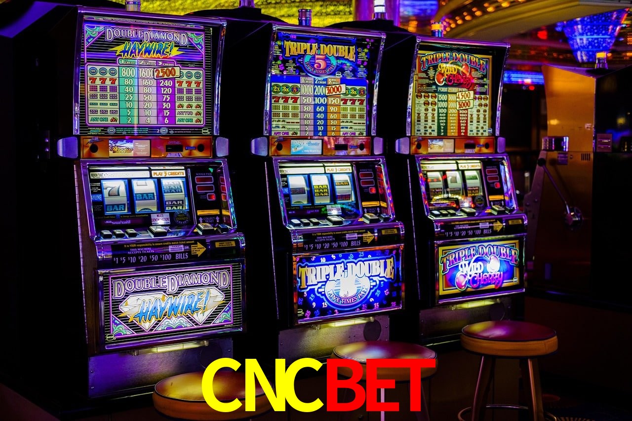 Estatísticas CNCBET